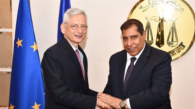 رئيس مجلس الدولة