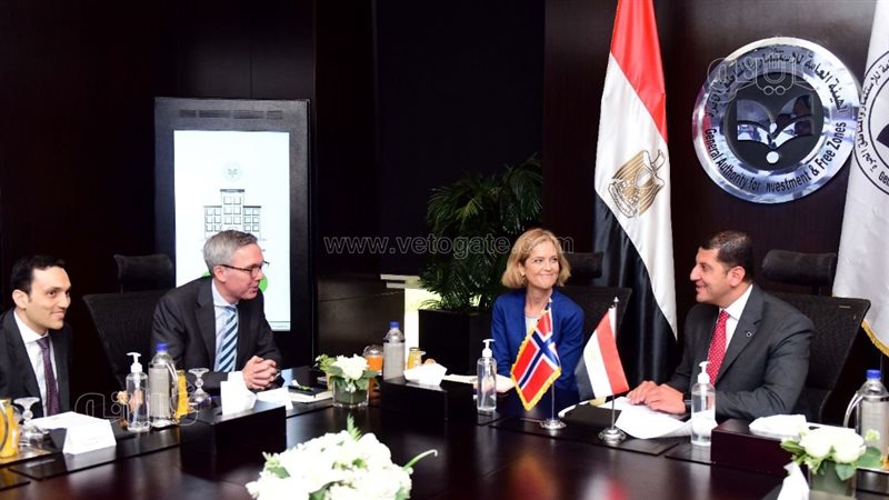 هيئة الاستثمار وسكاتك