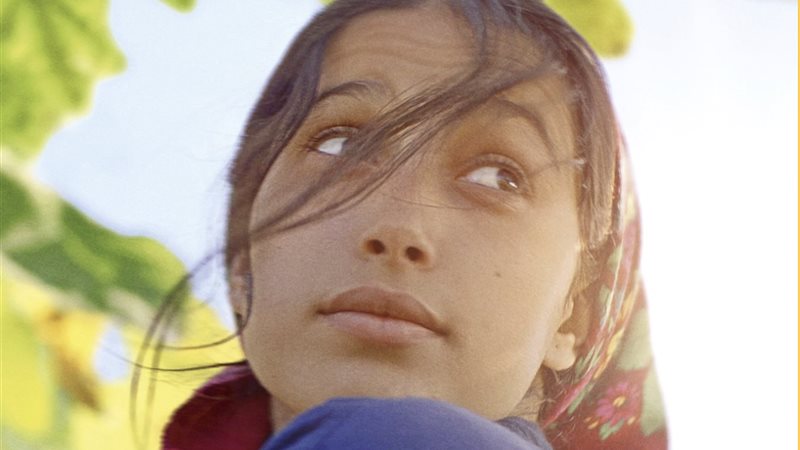 فيلم Under the Fig