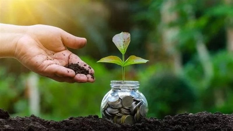 الاقتصاد الأخضر