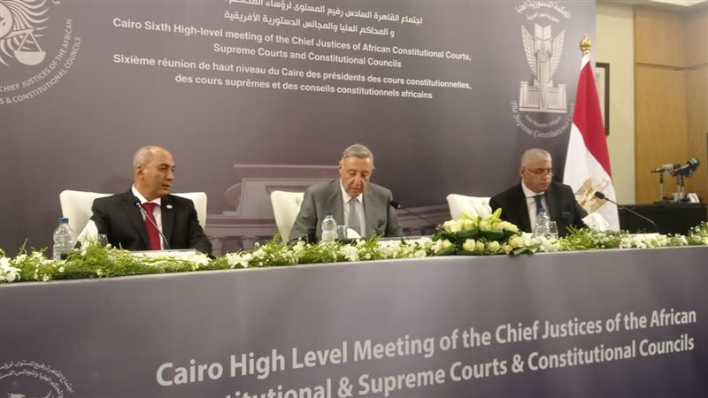 الدستورية العليا