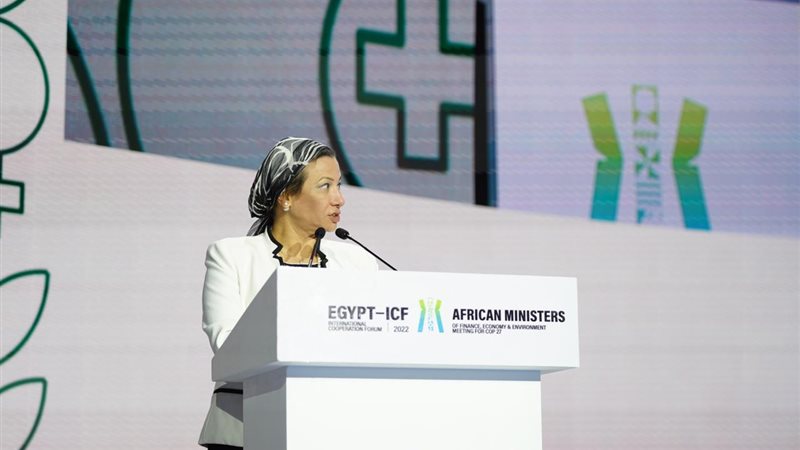 وزيرة البيئة 