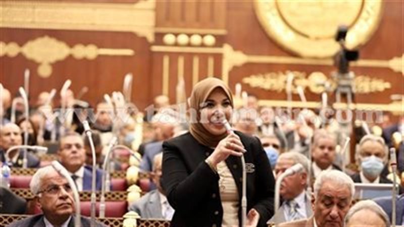 الدكتورة دينا هلالي