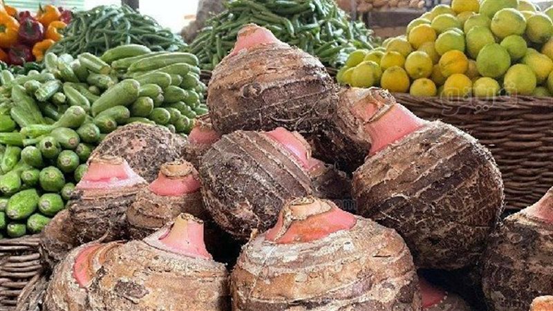 اسعار الخضراوات