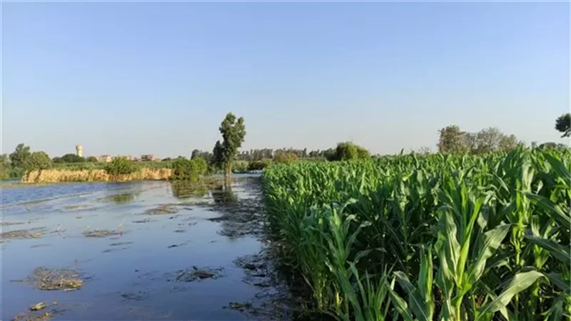 اراضي طرح النهر