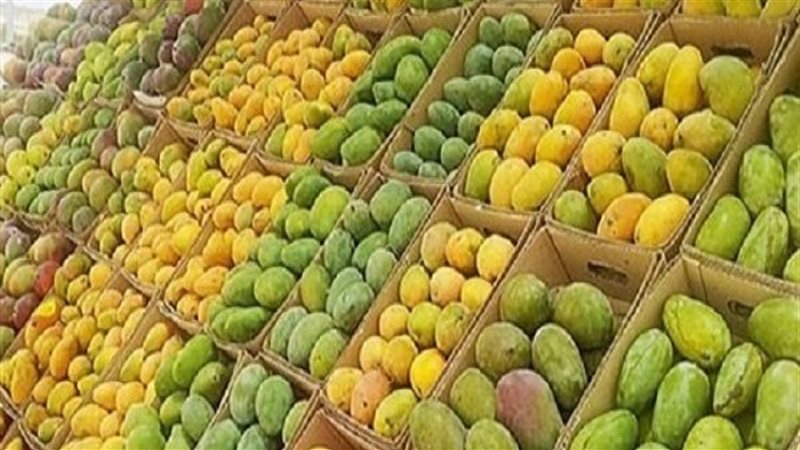 المانجو