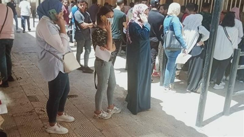 جامعة الإسكندرية