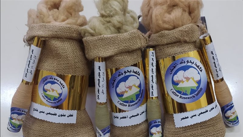 الأقطان المصرية الملونة