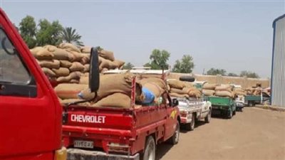 في قضية فساد القمح.. حبس 10 سنوات لأمين ومالك شونة ببني سويف