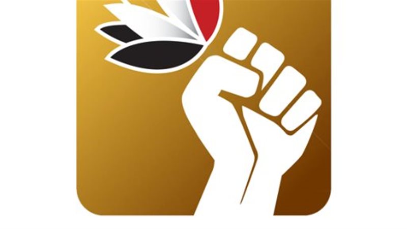 الحزب المصرى الديمقراطى