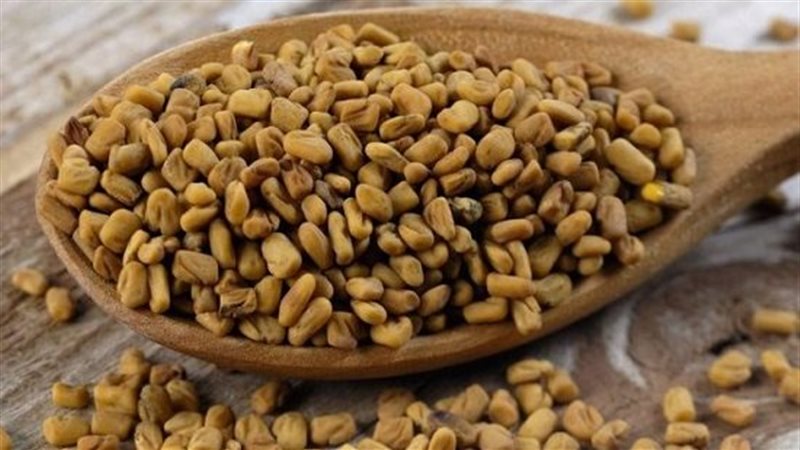 فوائد الحلبة