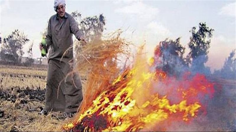 المخلفات الزراعية