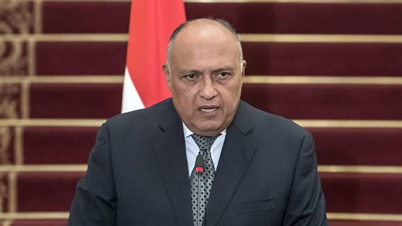 سامح شكرى ووزير خارجية
