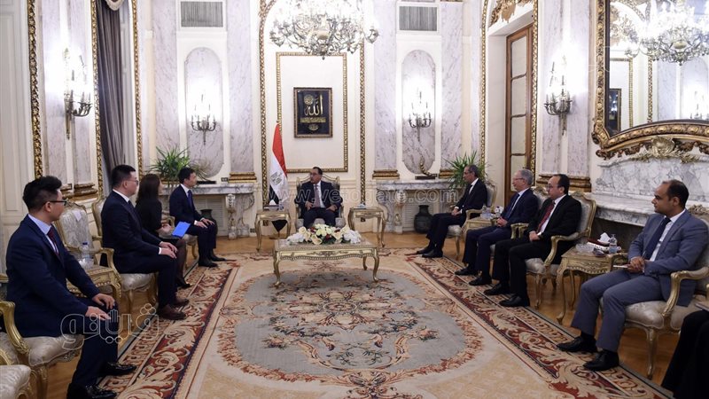 رئيس الوزراء يلتقي