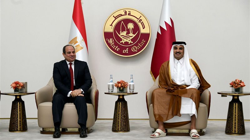 الرئيس السيسي وأمير