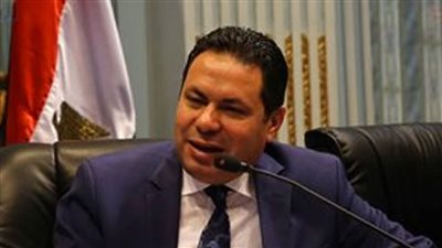 عيد الفلاح السبعين.. نواب: الرئيس يدعم الجيش الأخضر.. وتوفير أدوات تحسين المعيشة وتخفيض غرامات الأرز أبرز مطالبنا