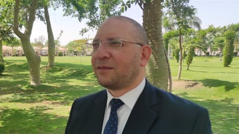 الدكتور عصام الروبي