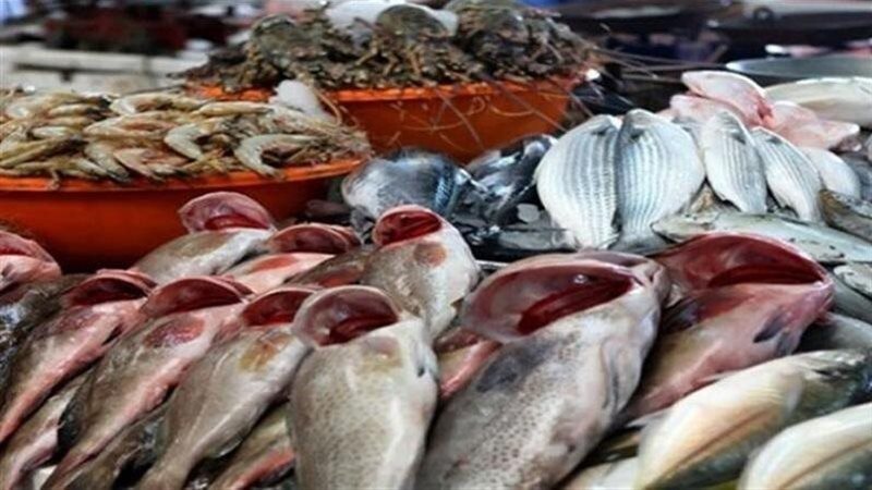 الاسماك ارشيفية