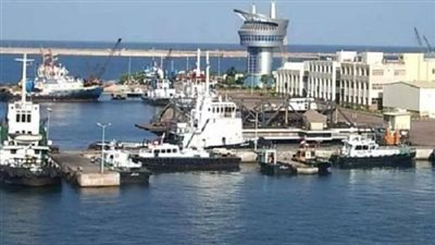 تداول 31 سفينة بضائع متنوعة بميناء دمياط