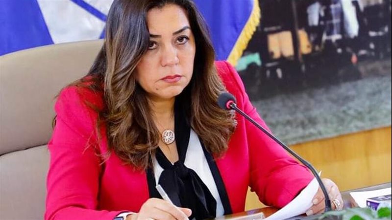 محافظ دمياط