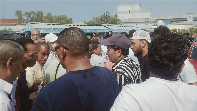 أحمد شيبة 