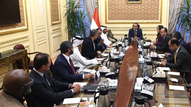 لقاء رئيس الوزراء