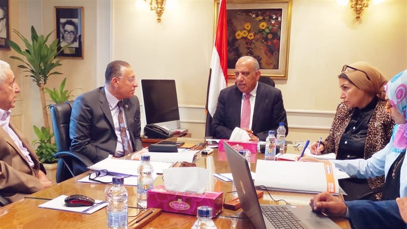 وزير قطاع الأعمال