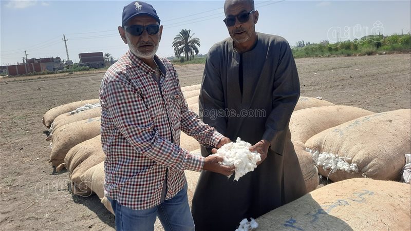 جانب من العمل داخل