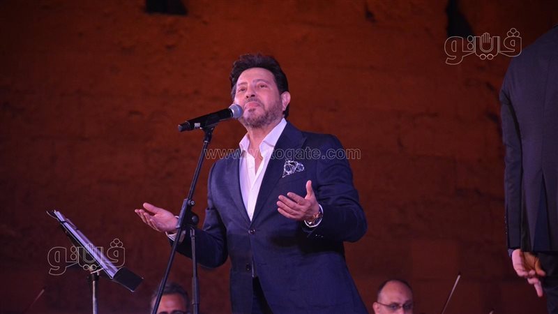 هاني شاكر 