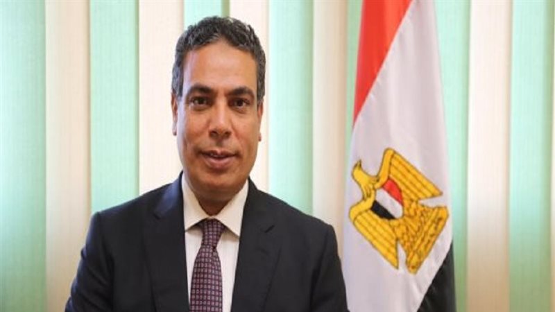 عادل عبد الغفار المتحدث