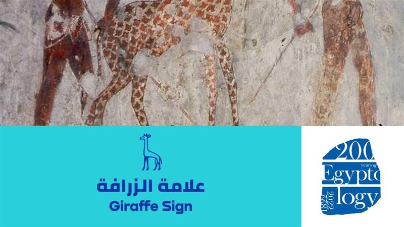 علامة الزرافة