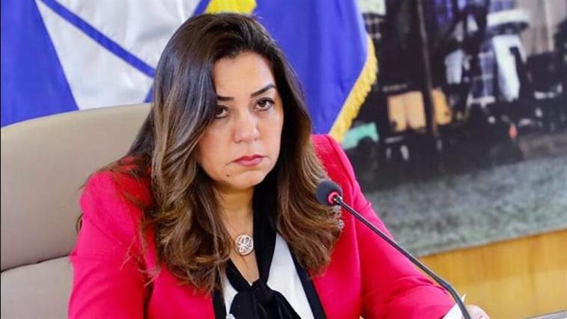 محافظ دمياط