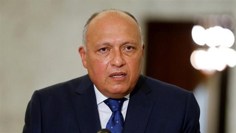 وزير الخارجية يلتقي