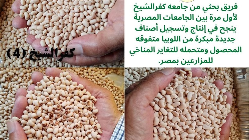 فريق بحثي بجامعة