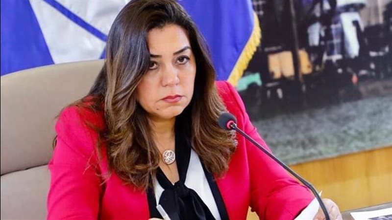 محافظ دمياط