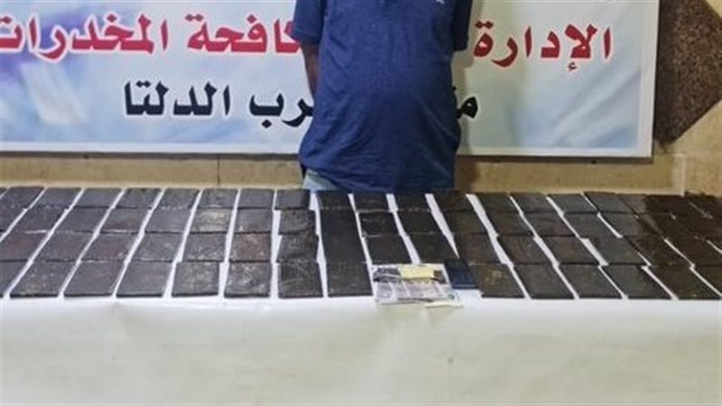 مخدر الحشيش 
