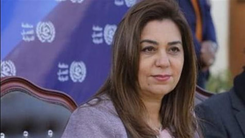 محافظ دمياط
