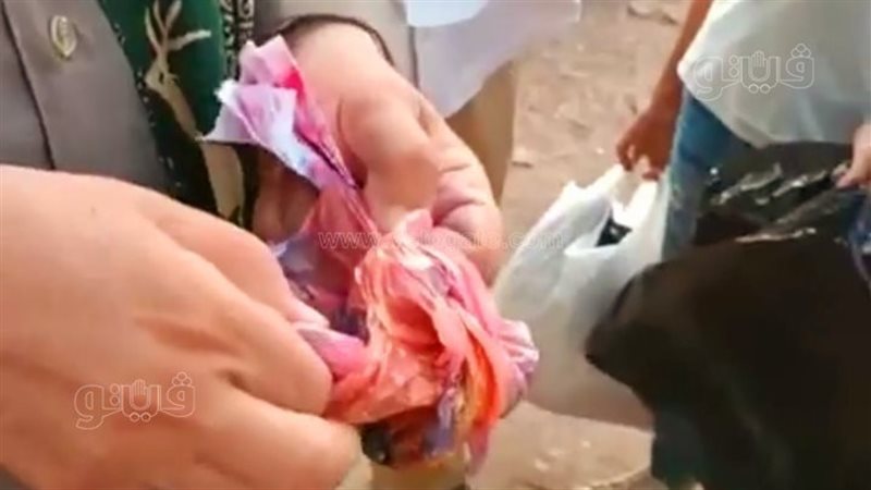 الواقعة