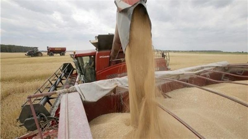 تصدير الحبوب