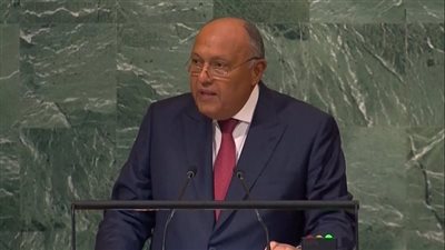 وزير الخارجية يستقبل رئيس المجلس الوطني الفلسطيني