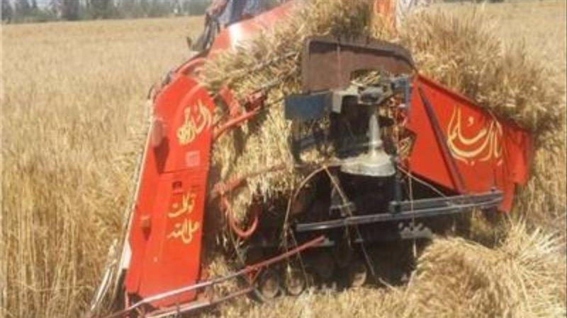 ماكينة ضم الأرز