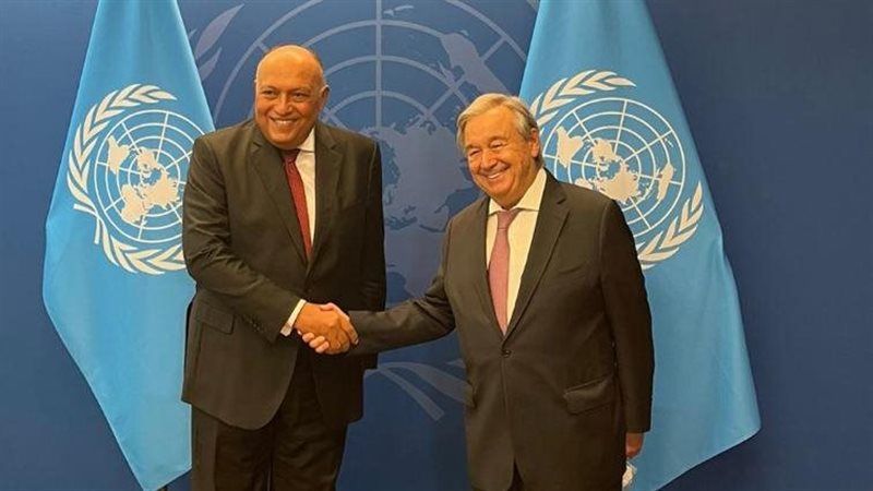 وزير الخارجية والأمين
