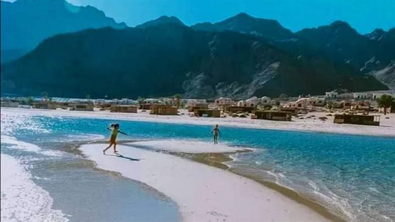 سيناء 