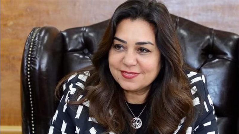 محافظ دمياط 