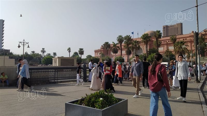 التوافد على المتحف
