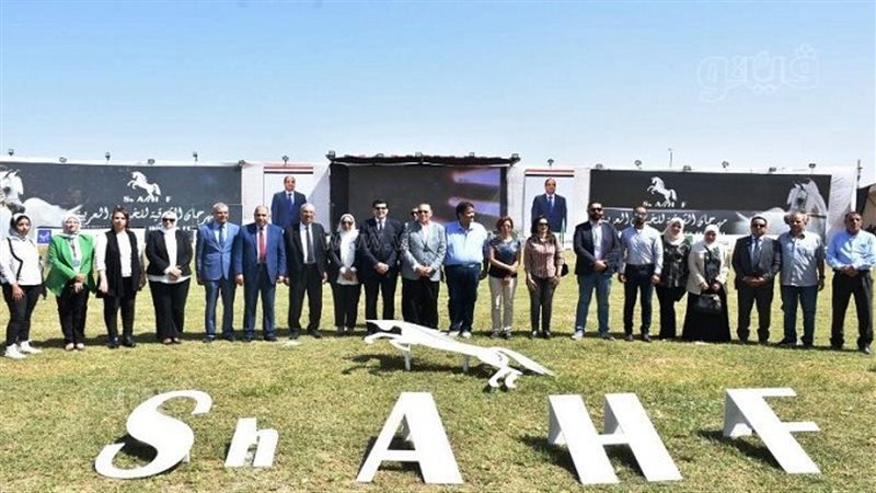  انطلاق مهرجان الخيول