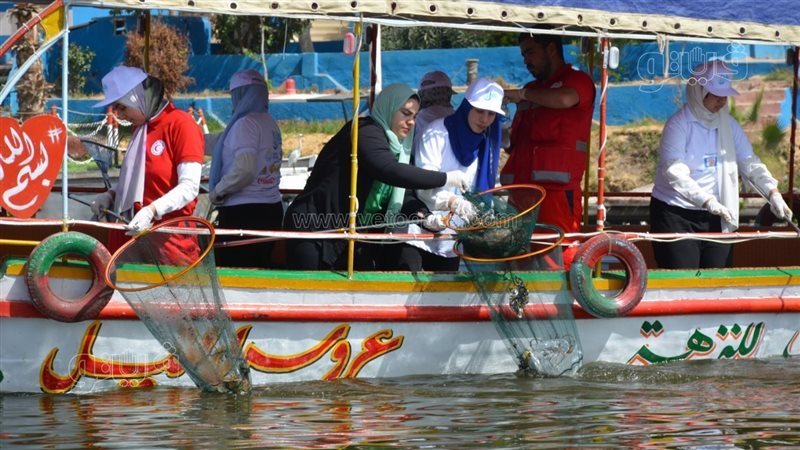 الحملة