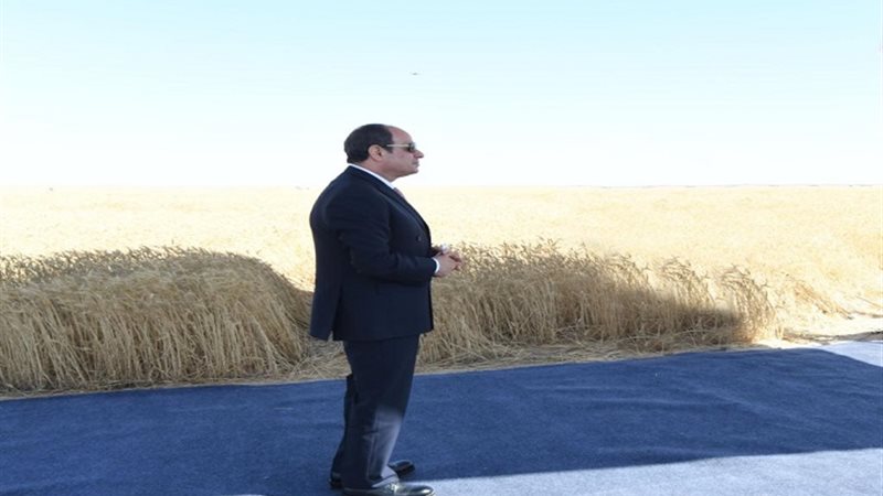 الرئيس عبد الفتاح