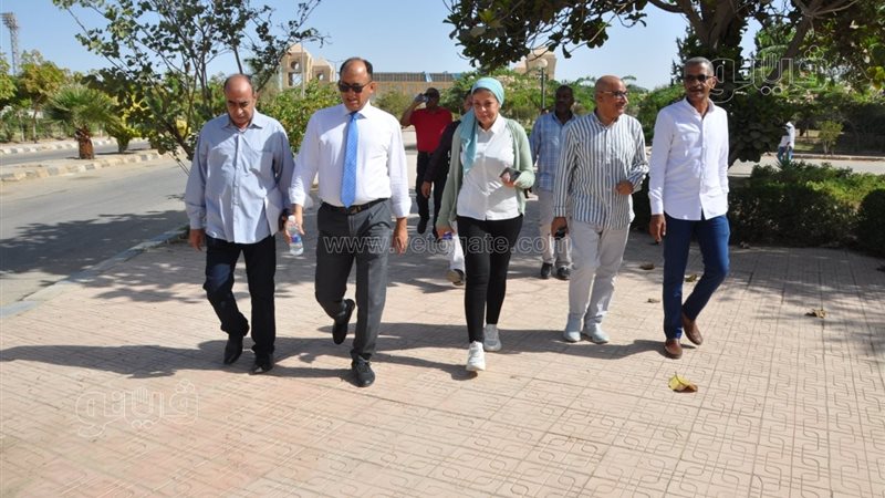 الدكتور سيد قنديل