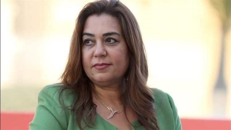 محافظ دمياط